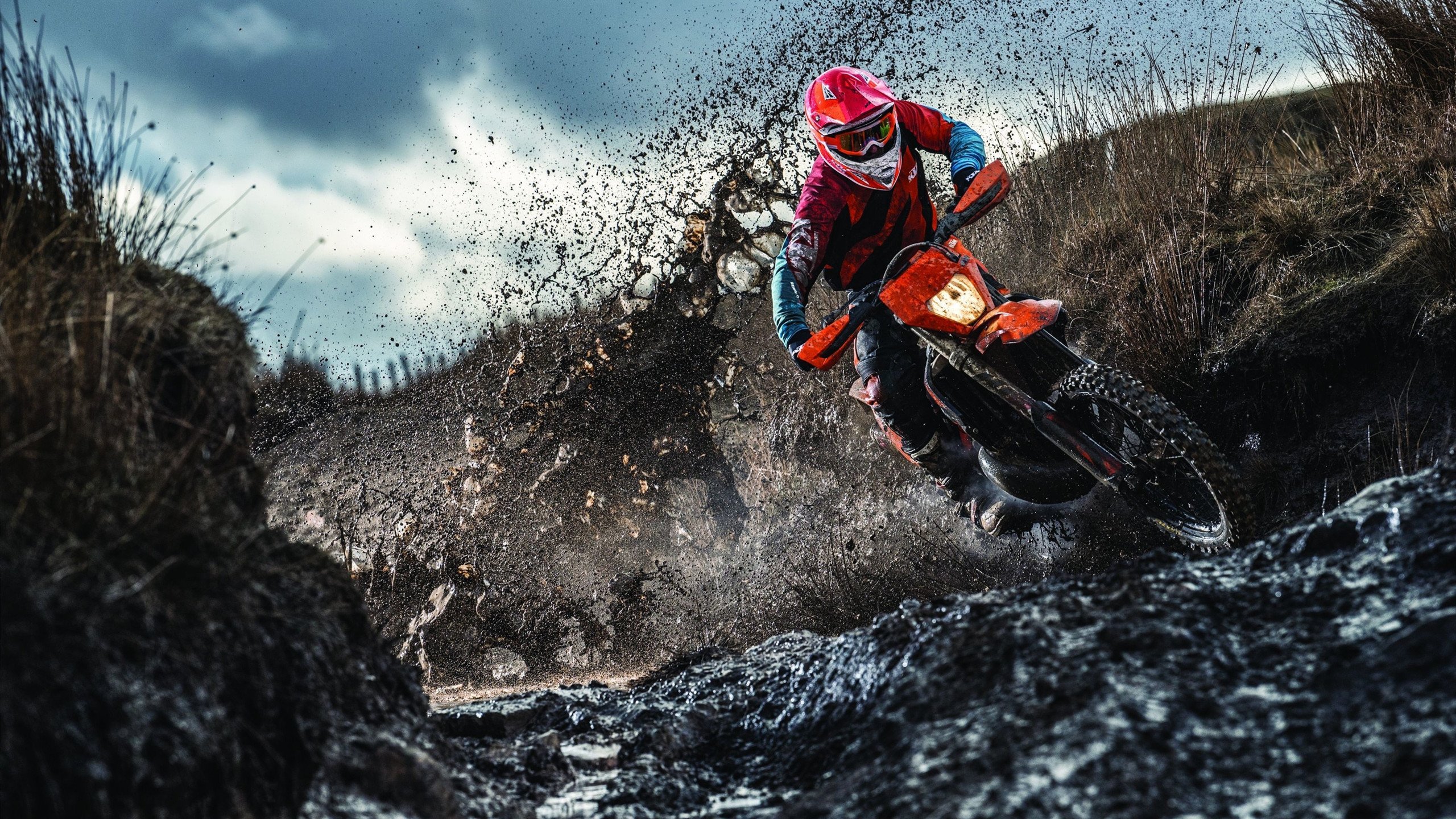 排球赛场焦点！日本队对阵中国队，体能极限考验，赛场硬仗一触即发