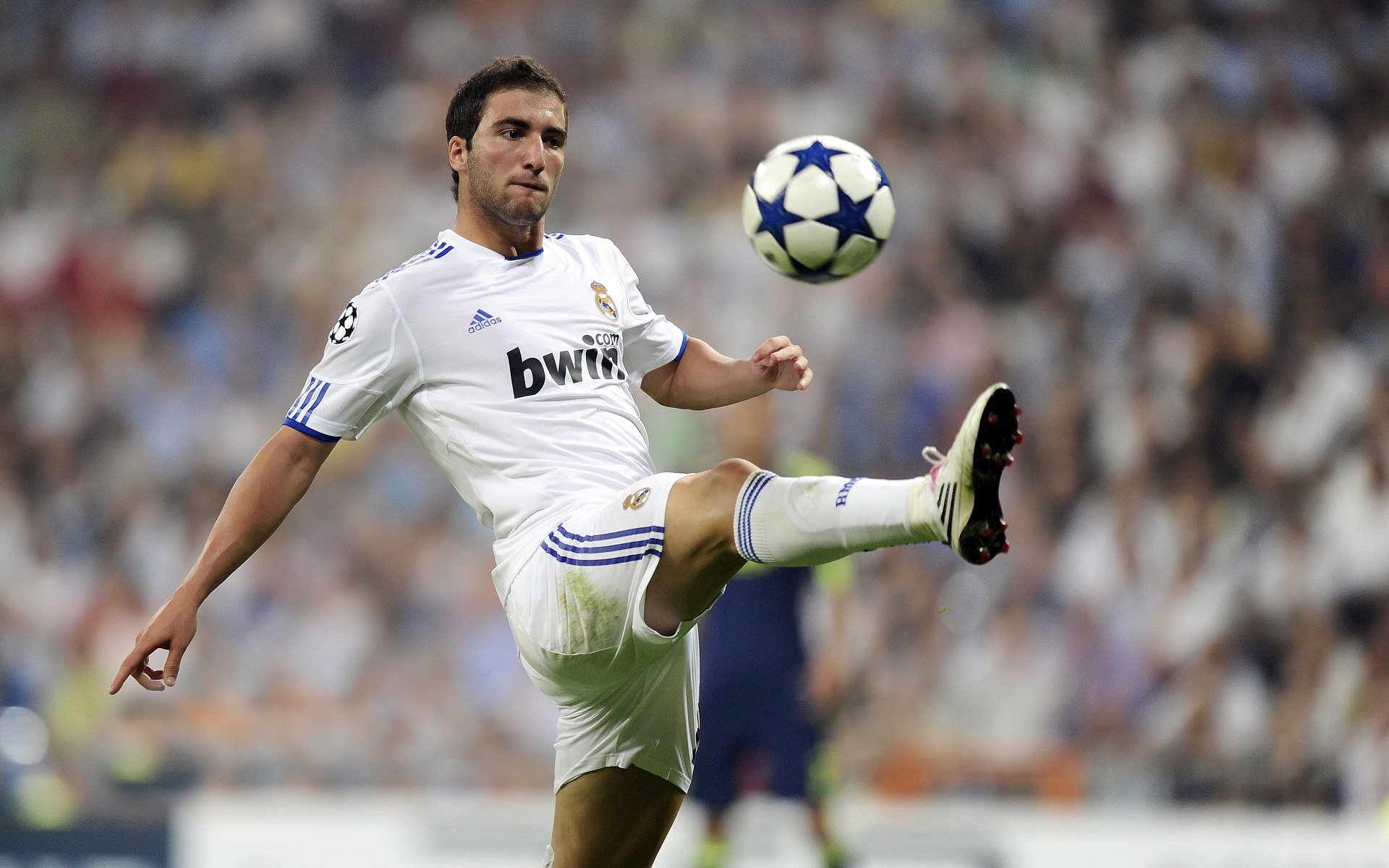 综合格斗赛场焦点！澳大利亚队对阵阿根廷队，核心球员受伤，球队前景蒙阴影